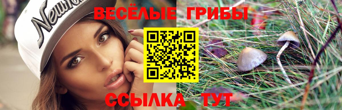 Псков  Псилоцибиновые грибы мицелий  Вход с VPN 